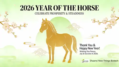 Festive Season and Reunion Celebration - 2026 Chinese New Year Holiday Program & Friendly Reminders 